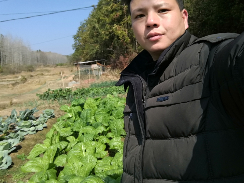 倔强的驴的第一张照片--漳州相亲网