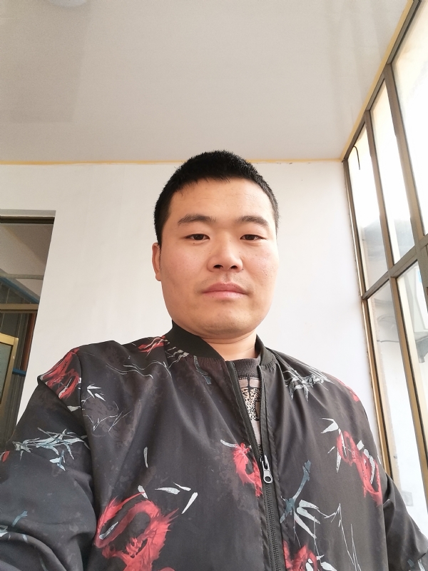 会飞的猪的第一张照片--漳州相亲网
