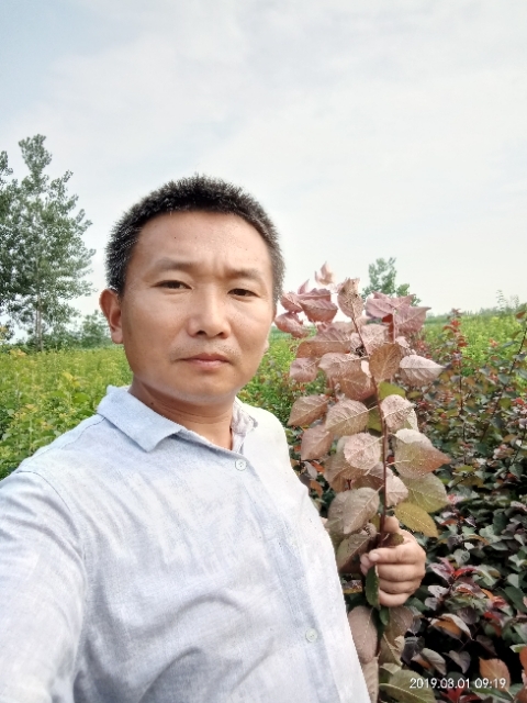 孩子爸的第一张照片--漳州相亲网
