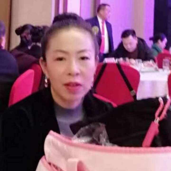 中秋桂花玉兔的第四张照片--漳州相亲网
