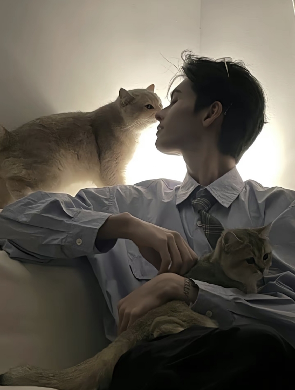 怪猫的第一张照片--漳州相亲网